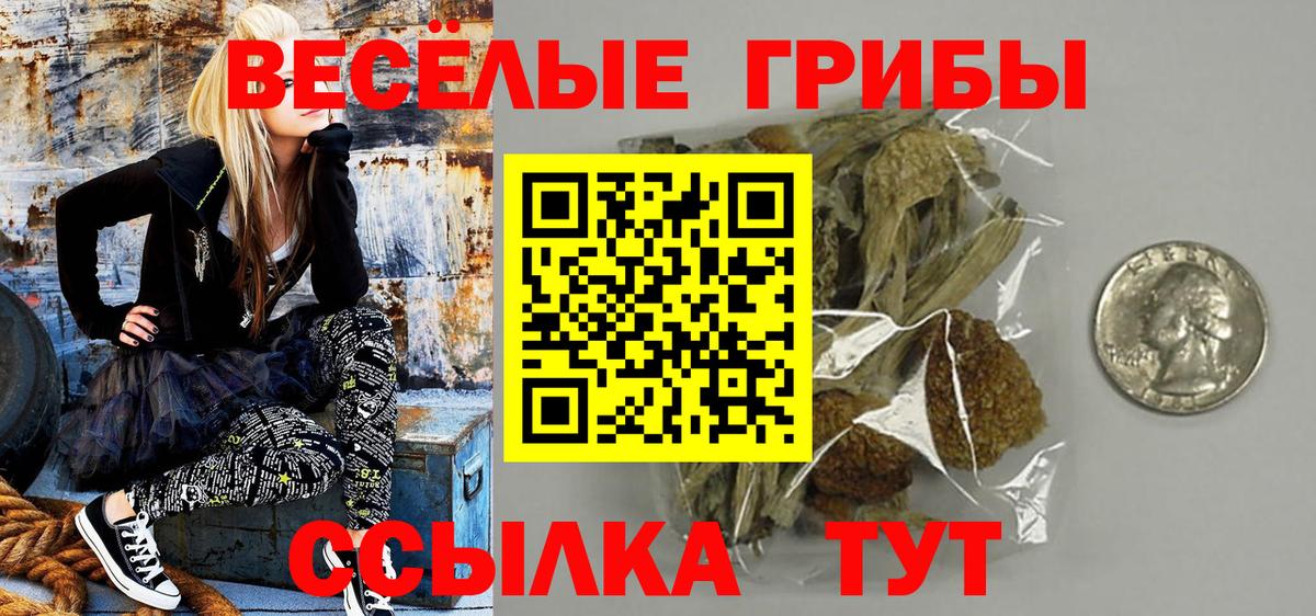 Галлюциногенные грибы ЛСД  Вход с VPN  купить наркоту  Кропоткин 