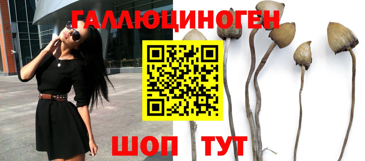 Галлюциногенные грибы прущие грибы Кропоткин